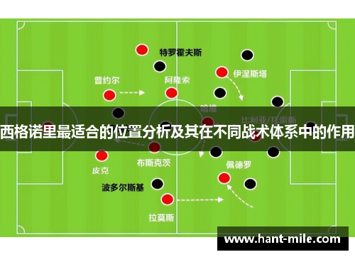 西格诺里最适合的位置分析及其在不同战术体系中的作用