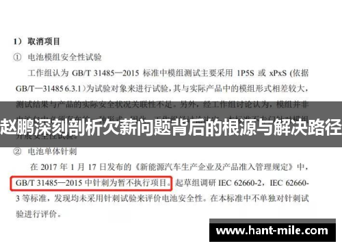 赵鹏深刻剖析欠薪问题背后的根源与解决路径