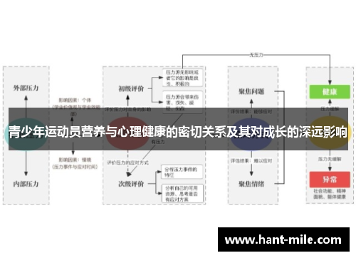 青少年运动员营养与心理健康的密切关系及其对成长的深远影响