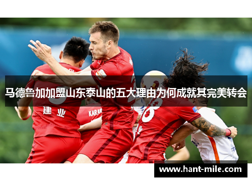马德鲁加加盟山东泰山的五大理由为何成就其完美转会