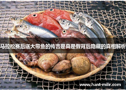 马拉松赛后送大带鱼的传言是真是假背后隐藏的真相解析