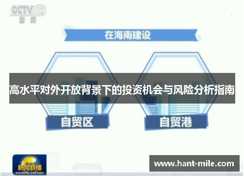 高水平对外开放背景下的投资机会与风险分析指南 高水平对外开放背景下的投资机会与风险分析指南